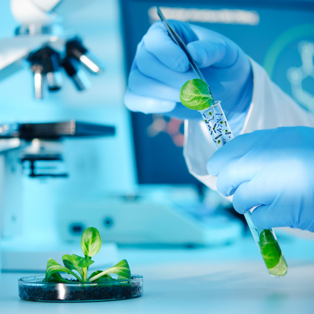 Biopriming