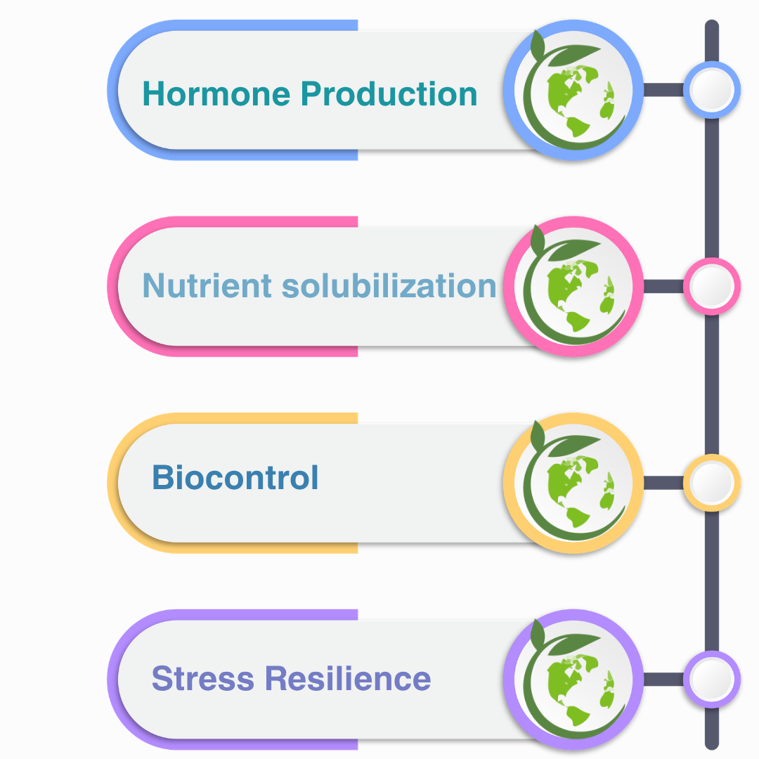 Phytoremediation Mechanisms